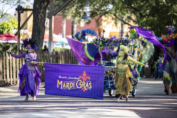 Busch Gardens Tampa Mardi Gras 2023 - Parade
